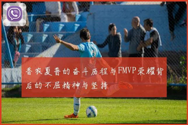 香农夏普的奋斗历程与FMVP荣耀背后的不屈精神与坚持