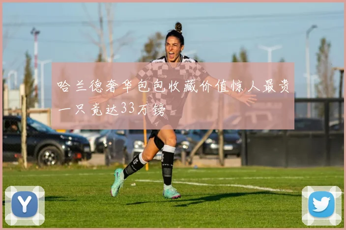 哈兰德奢华包包收藏价值惊人最贵一只竟达33万镑