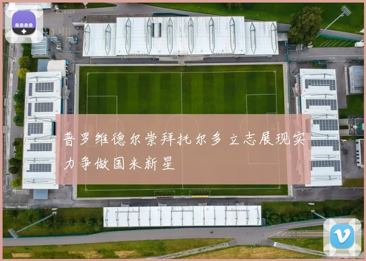 普罗维德尔崇拜托尔多立志展现实力争做国米新星