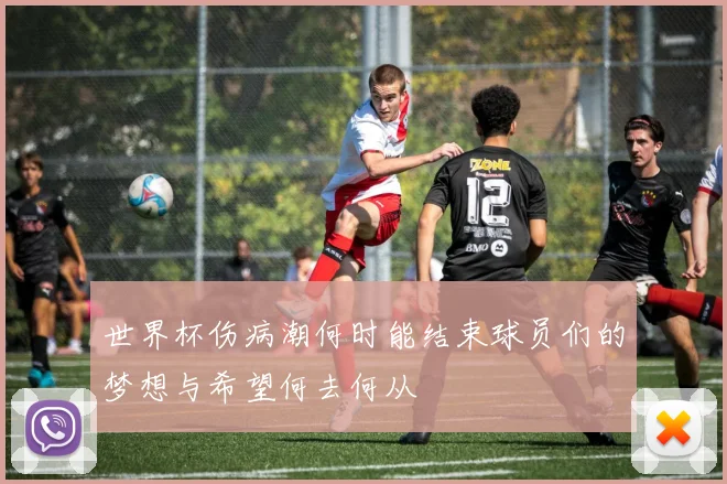 世界杯伤病潮何时能结束球员们的梦想与希望何去何从