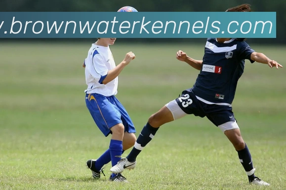泰山队意外落后西海岸于金永失误助攻阿齐兹挑射破门