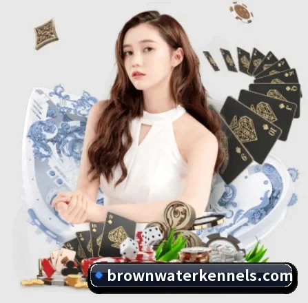 持续创新 - AI 与大数据深度融合,为用户提供个性化的智能服务。